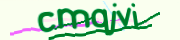 Enter the character string shown in the picture
